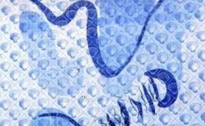 Com o dobro de tamanho da edição do ano passado!!!!