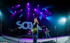 soja no summer