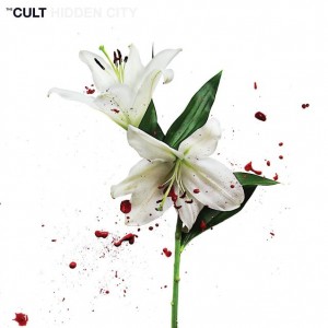 The cult 1